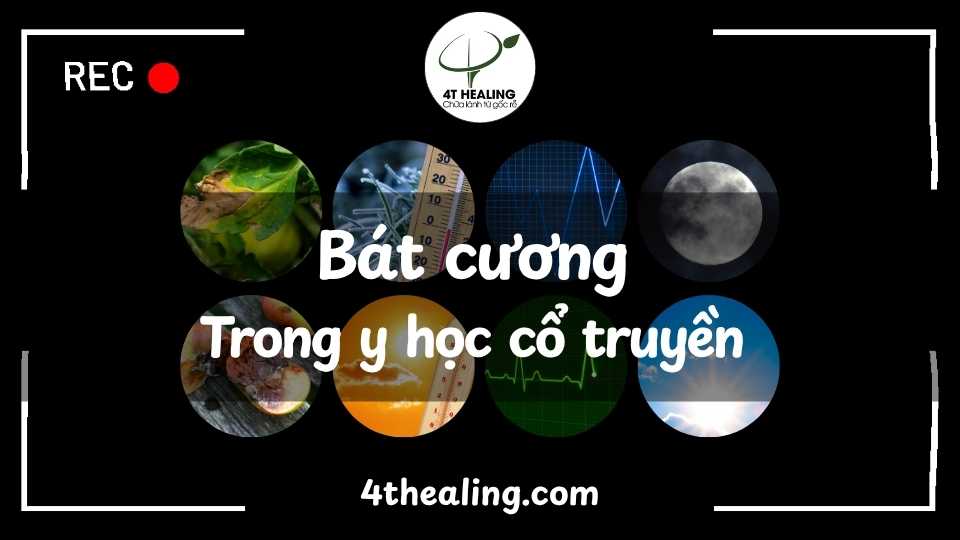 Bát cương trong y học cổ truyền