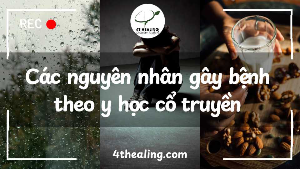 Các nguyên nhân gây bệnh theo y học cổ truyền