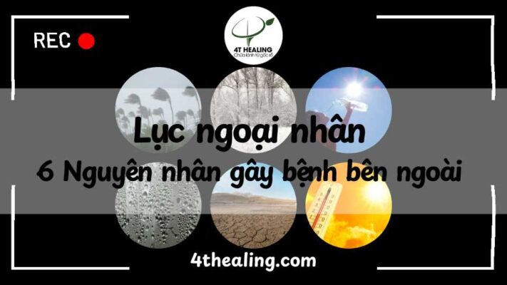 nguyên nhân bên ngoài gây bệnh - ngoại nhân