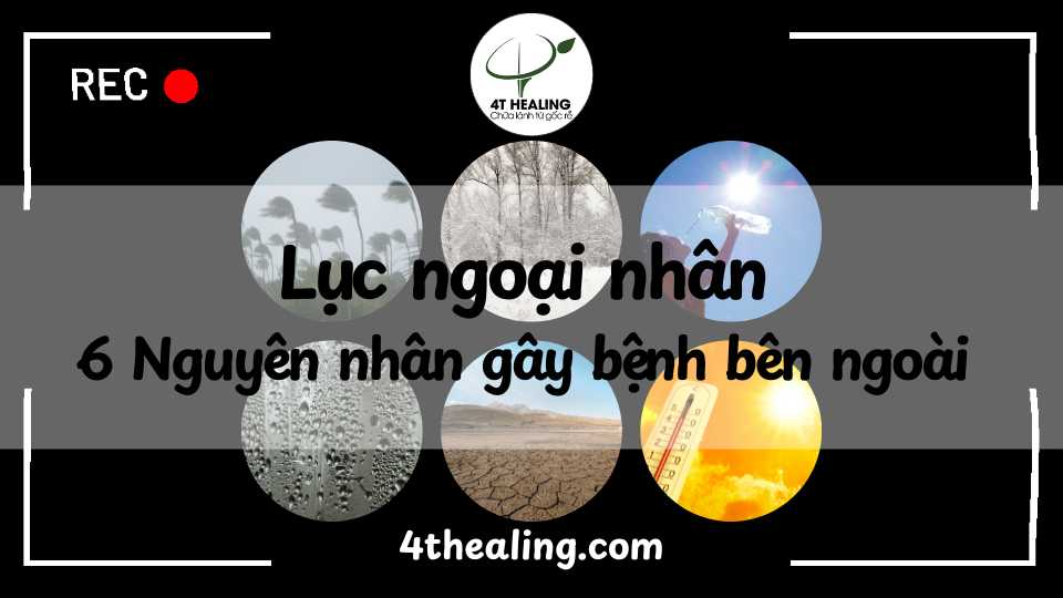 nguyên nhân bên ngoài gây bệnh - ngoại nhân