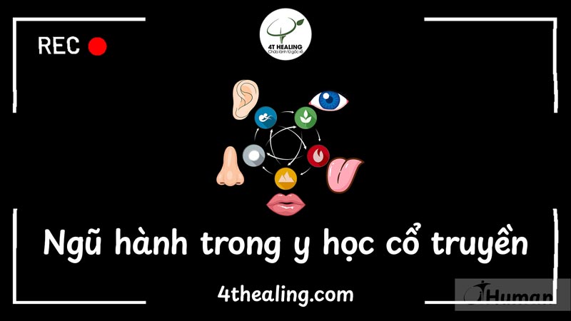 Ngũ hành trong y học cổ truyền