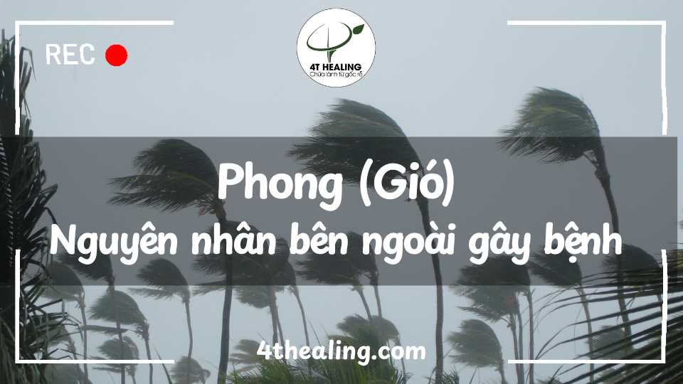 Phong (Gió) Nguyên nhân bên ngoài gây bệnh