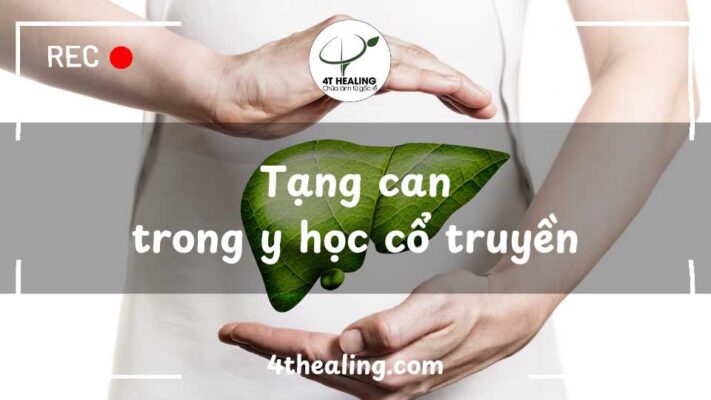 Tạng can trong y học cổ truyền