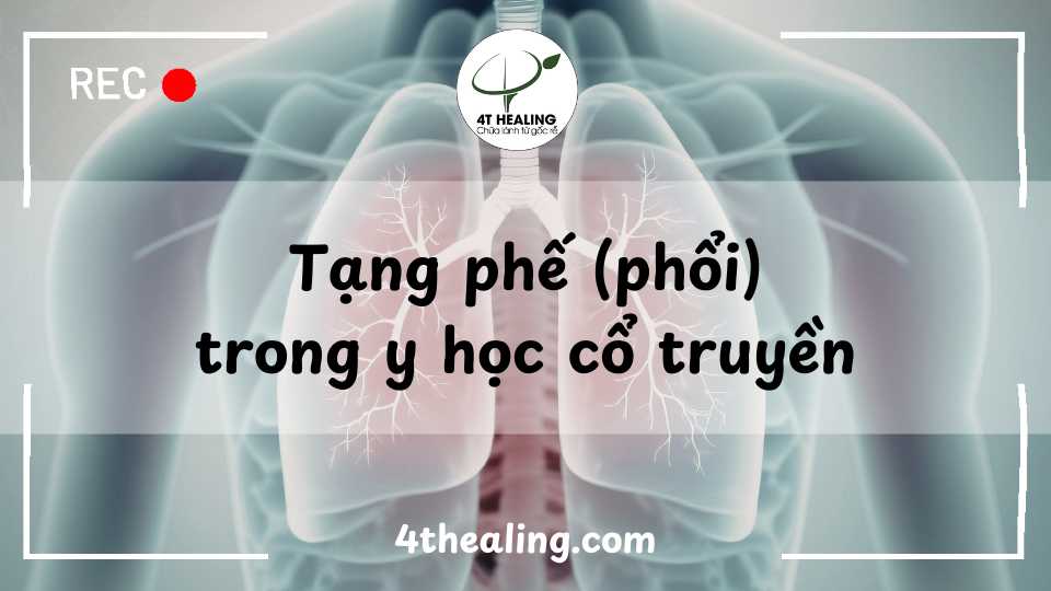 tạng phế trong y học cổ truyền