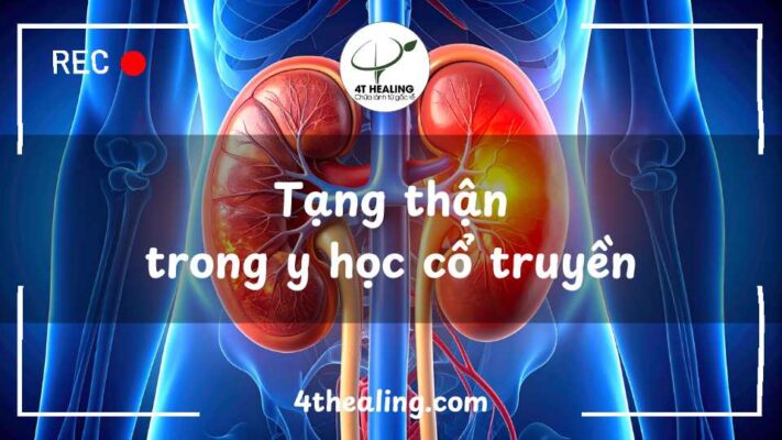 tạng thận trong y học cổ truyền