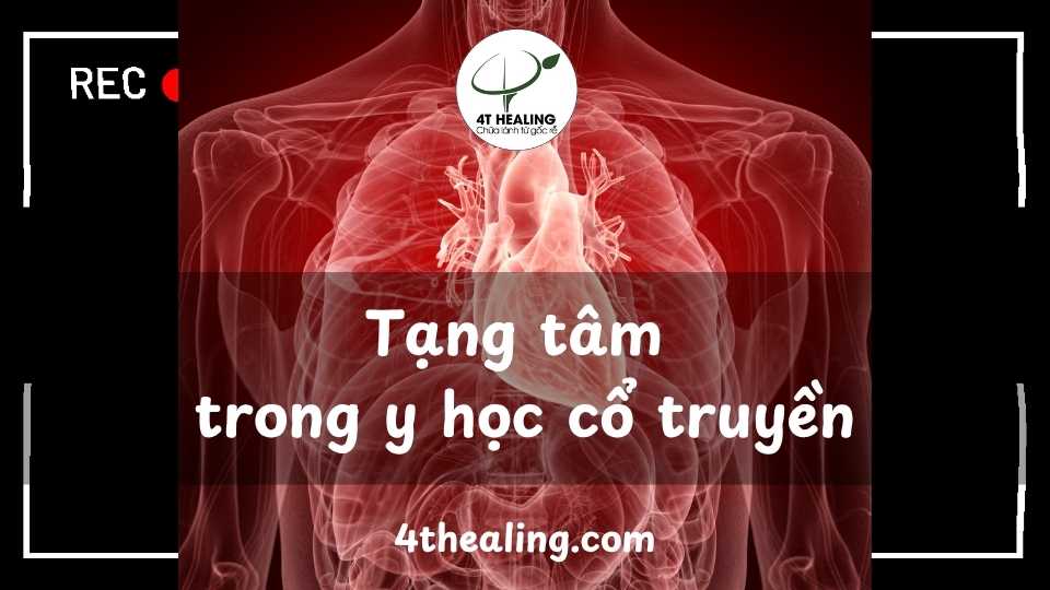 Tạng tâm trong y học cổ truyền