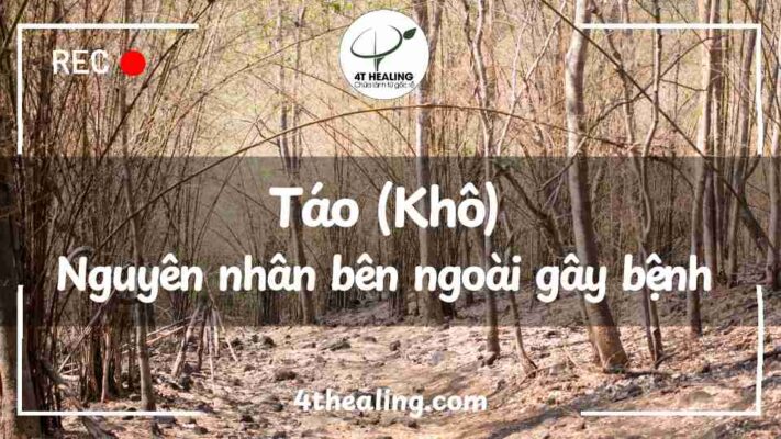 Táo (Khô) Nguyên nhân gây bệnh