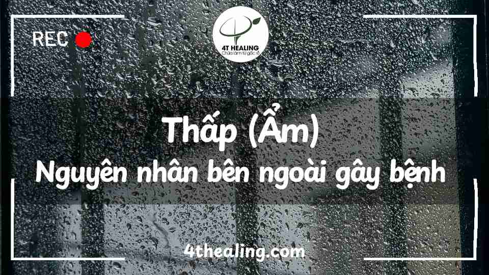 Thấp ẩm nguyên nhân bên ngoài gây bệnh