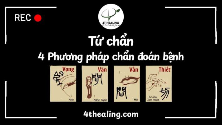 Tứ chẩn - 4 phương pháp chẩn đoán bệnh trong y học cổ truyền