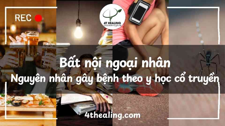 bất nội ngoại nhân - Những nguyên nhân gây bệnh khác